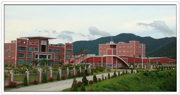 公司動態(tài)